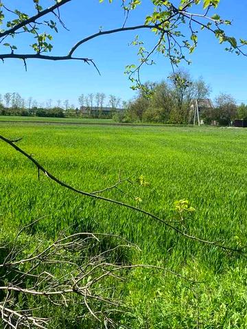 Недобудова в с. Рогозів з кутовою ділянкою