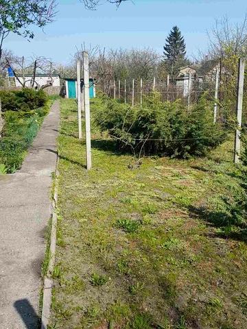 Продам дачу в Орловщині, коп. "Зірка"