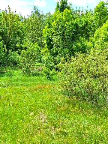 Будинок із земельною ділянкою