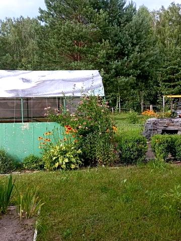 Продається дача Бобровський масив 1