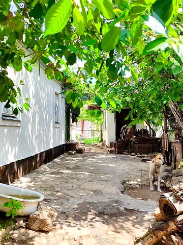 Дом пр. Центральный (9я Слободская) недалеко от проспекта (двор на 2х)