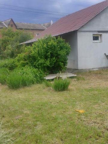 Будинок в центрі Диканьки