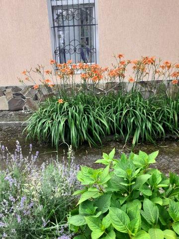 Продається нежитлове приміщення.