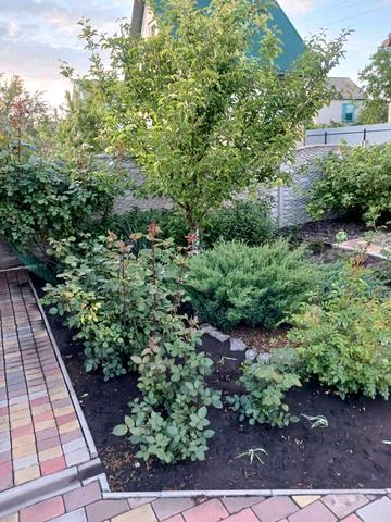 Продам дачу в Новомосковске