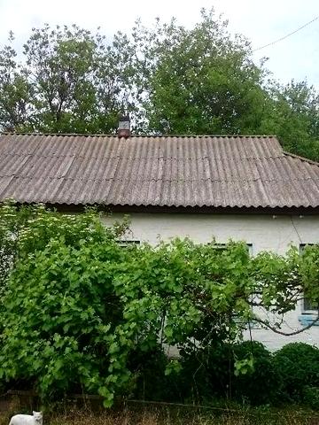 Продам дом с участком 33 сотки в Козельце (Лихолетки)