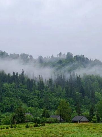 Здається на довгострокову оренду окремий будинок у Карпатах