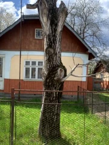 Продаю будинок із земельною ділянкою в смт. Кути