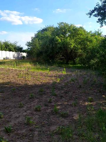 Будинок із земельною ділянкою в Рибцях