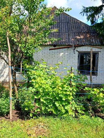 Продам дачу в селі Богданівка