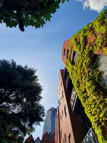 Продам пентхаус Амстердам, п. Шевченко, Империал Палас, Амфитеатр. ЖК Амстердам