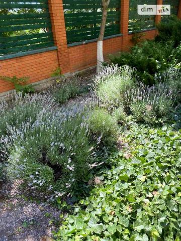 Продаж 1к Квартира Вишнева вулиця