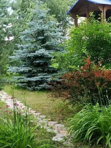 Оренда, біля Полтави