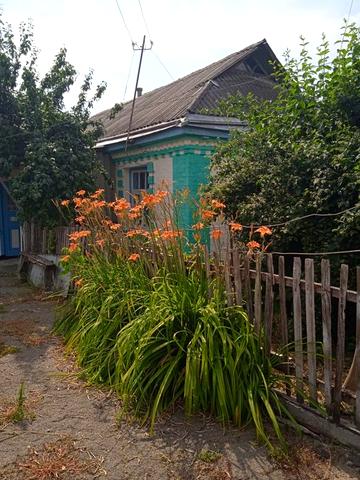 Продається будинок Черкаська область, Уманський район, с.Старі Бабани.