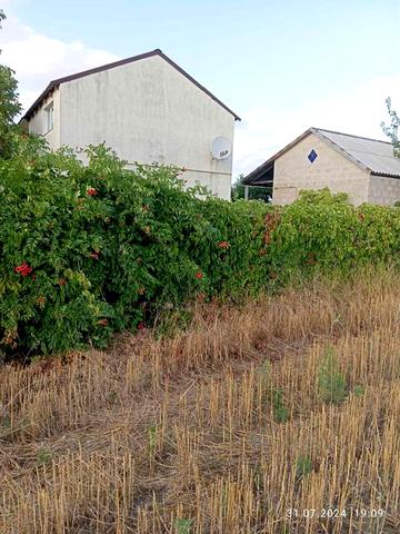 Продам дом (Елизаветовка).