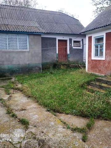 Будинок з великою земельною ділянкою