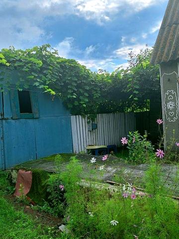 Продам будинок в с.Кривин загальна площа 38сот.