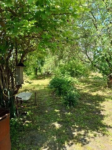 Продам дачу на "чайке"