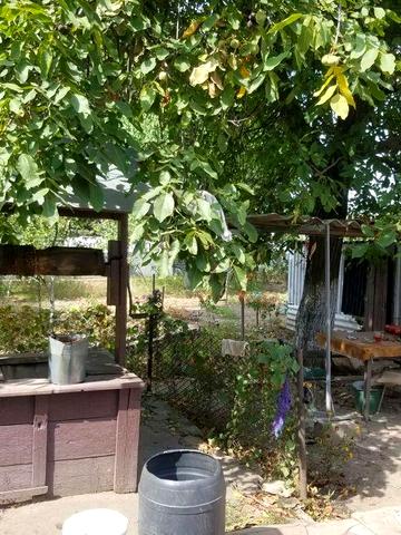 Продам или меняю дом в пгт Петриковка