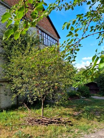 Двухкомнатная квартира в Бабаях, 58 кв.м.