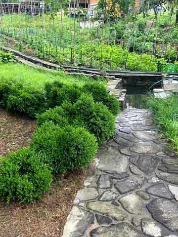 Будинок в Карпатах, Яремче