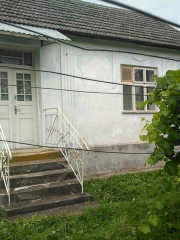 Будинок з ділянкою і садом