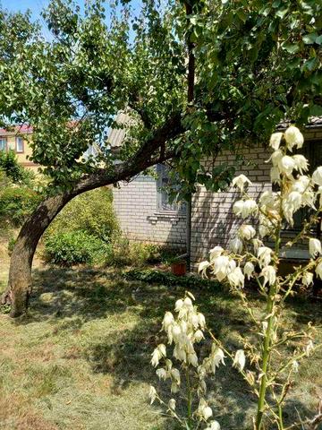 Дача в садовом кооперативе "Днепровец" Бориспольский р-н. Осокорки