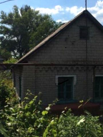 Дом рядом с Днепром Вольноандреевка