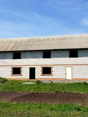 Продам добротний будинок з великою ділянкою в Карлівці