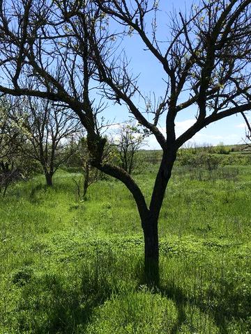 Продажа дома с земельным участком