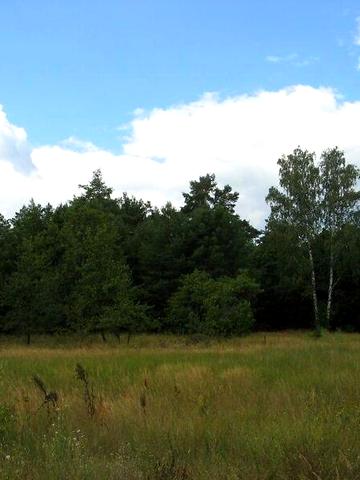 Продаж 2к Дім Чернігівський район