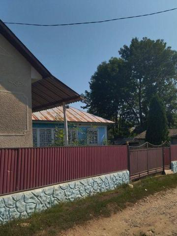 Господарство с. Романківці