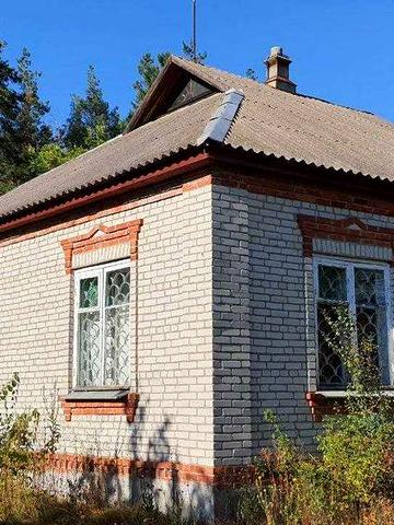 Продам дом с. Скрыпаи Хвойный лес примыкает к дому