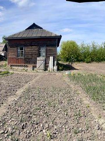 Продам будинок в с. Табаївка (Чернігівський р-н) всього 24км