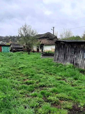 Будинок із землею