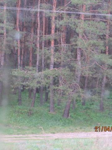 Продам дом возле леса и реки Орель в пгт. Царичанка 42 сотки участок