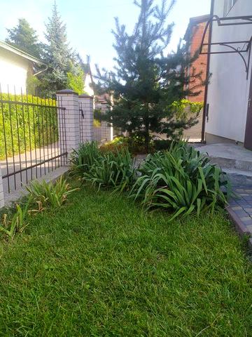 Продам будинок біля річки,лісу  Новоселівка/Піщанка