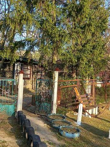 Продам  будинок в селі Концеба