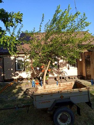 Продам дом 66 кв.м с.Межирич