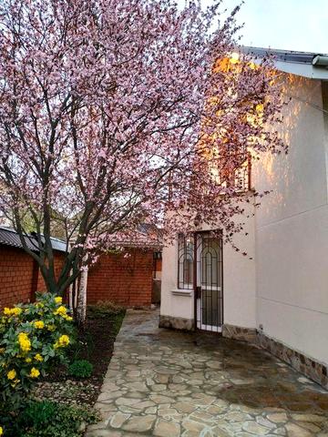 Дом Одесса, Совиньон, Черноморск - 10 км. Море - Пляж, от Собственника