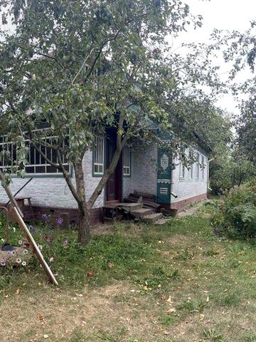 Продається будинок з ділянкою і господарськими будівлями