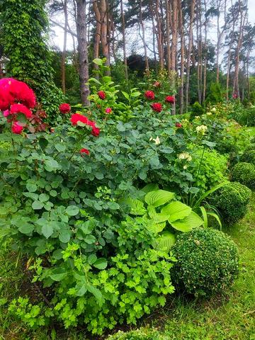 ЖК "River House" 3 к. квартира -113 м 2 ! ЖК River House