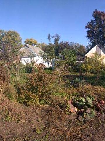 Земельна ділянка в с. Малі Єрчики Малі Єрчики