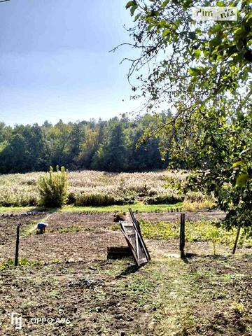 Продаж 5к Дім Берегова вулиця