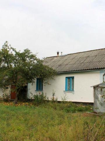Продається будинок в с. Наталівка
