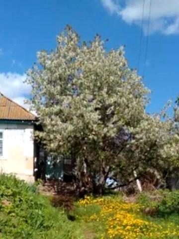 Продаж 2к Дім Горького вулиця