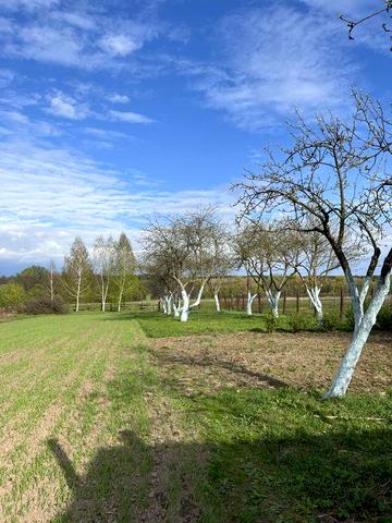 Доглянутий цегляний будинок