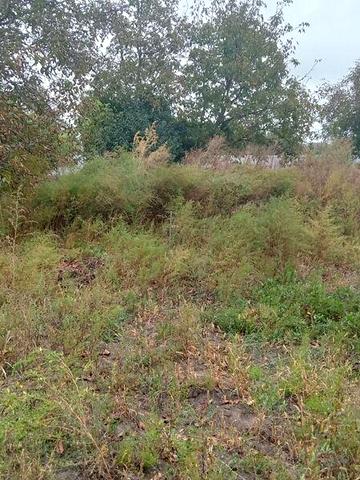 Продаж 3к Дім Липовецька вулиця