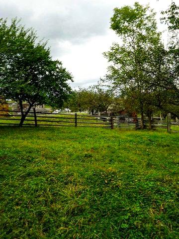 Продається затишний будинок з невеликою ділянкою в Карпатах