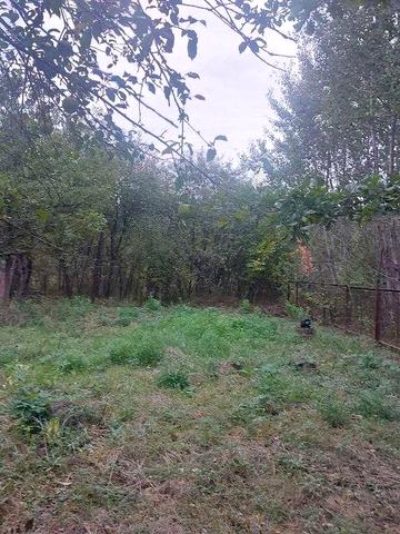 Продається дача с.Хриплин передмісття м.Івано -Франківськ