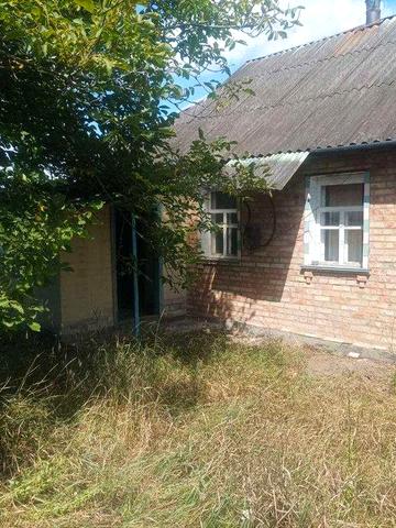 Продам будинок в селі Виграїв